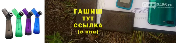 ГАЛЛЮЦИНОГЕННЫЕ ГРИБЫ Балахна