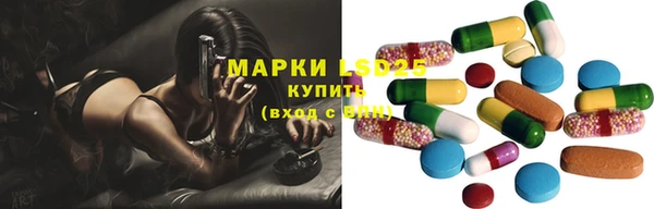 ГАЛЛЮЦИНОГЕННЫЕ ГРИБЫ Балахна