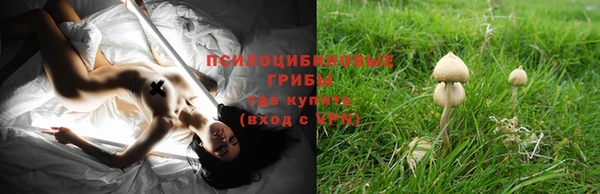 экстази Баксан