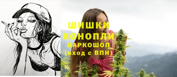 ГАЛЛЮЦИНОГЕННЫЕ ГРИБЫ Балахна